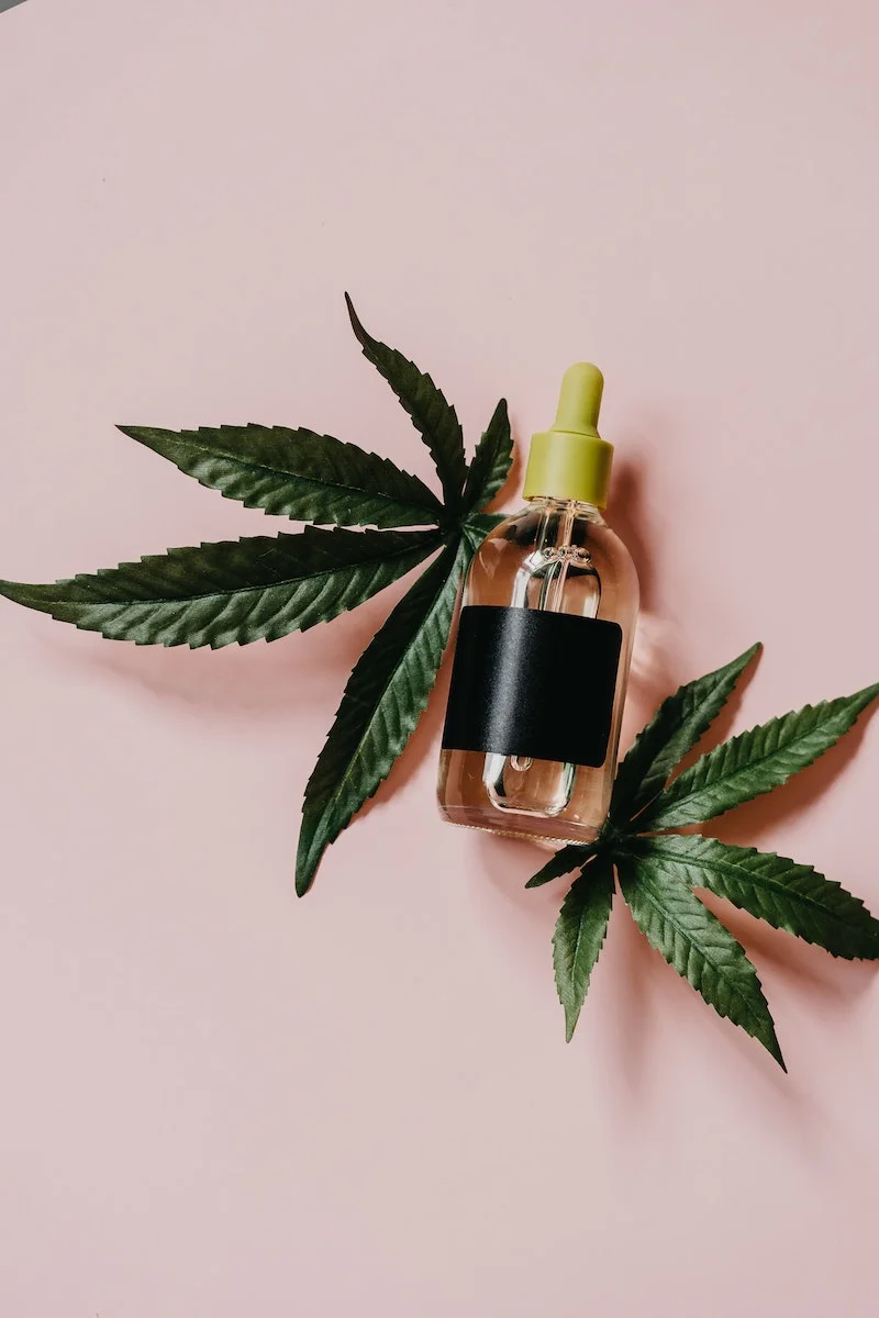 THC et CBD quelles sont les différences The CBD House