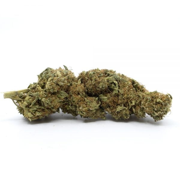 the-cbd-house-new-york-sour-diesel