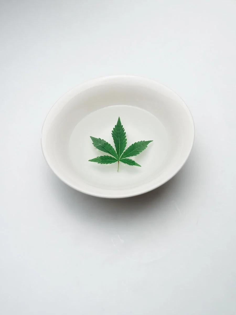 l'huile de cbd l'huile by the cbd france pour the cbdhouse