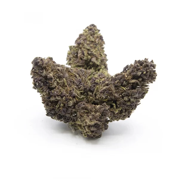 violette-purple-cbd