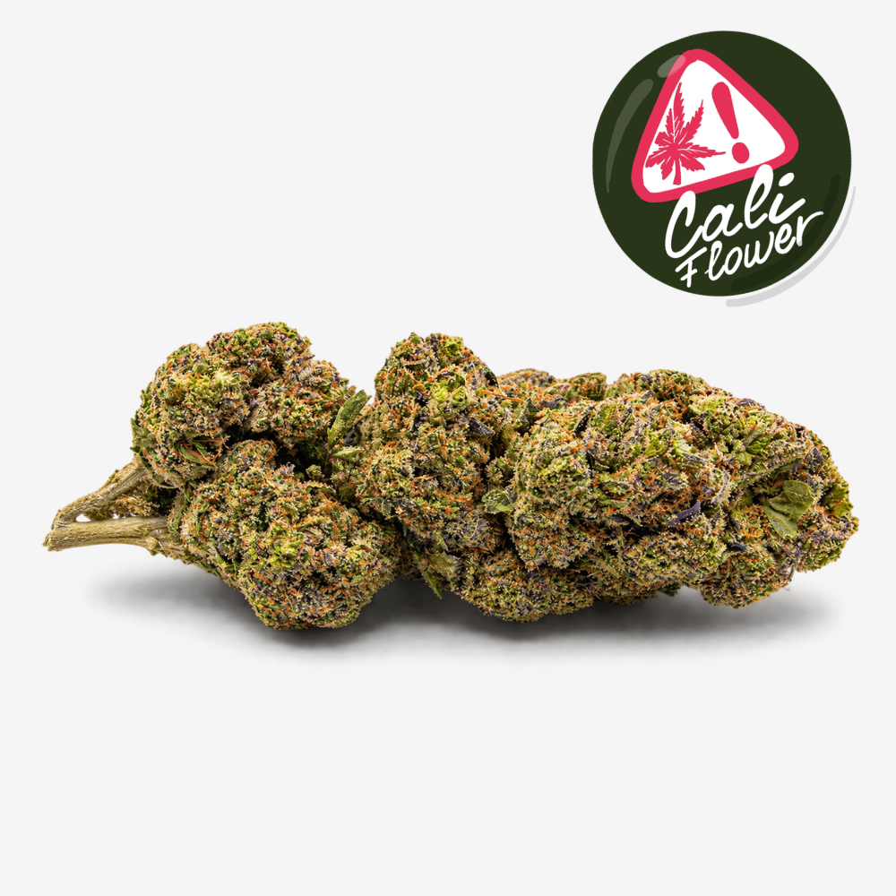 amnesia cali flower