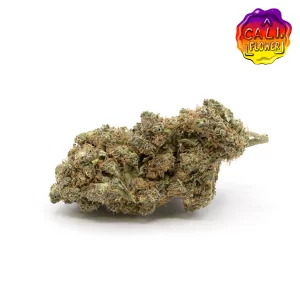 sunset sherbet,indoor,cali flowers,fleurs californiennes,californienne,cbd,cbd france,the cbd house,fleurs de cbd,greenhouse,greenhouse.com,huile cbd chez cbd-grams.com,cbd shop,boutique cbd,vape cbd,green store,ferme du cbd,huile cbd