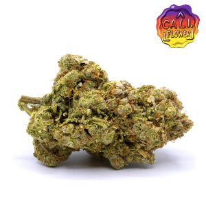 AMNÉSIA 2.0 - FLEUR DE CBD