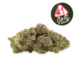 big buddha cheese cali flower