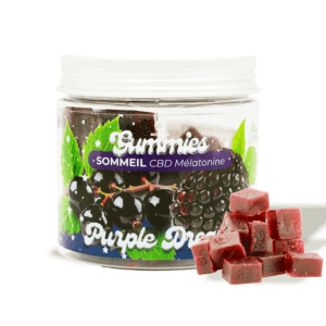 GUMMIES - SOMMEIL - PURPLE DREAM