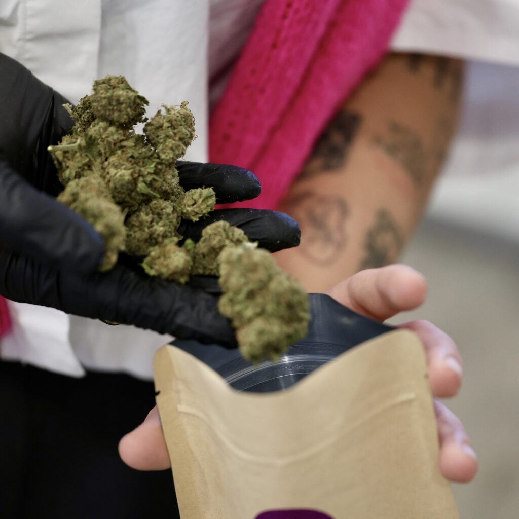 REMPLISSAGE DE FLEUR - THE CBD HOUSE