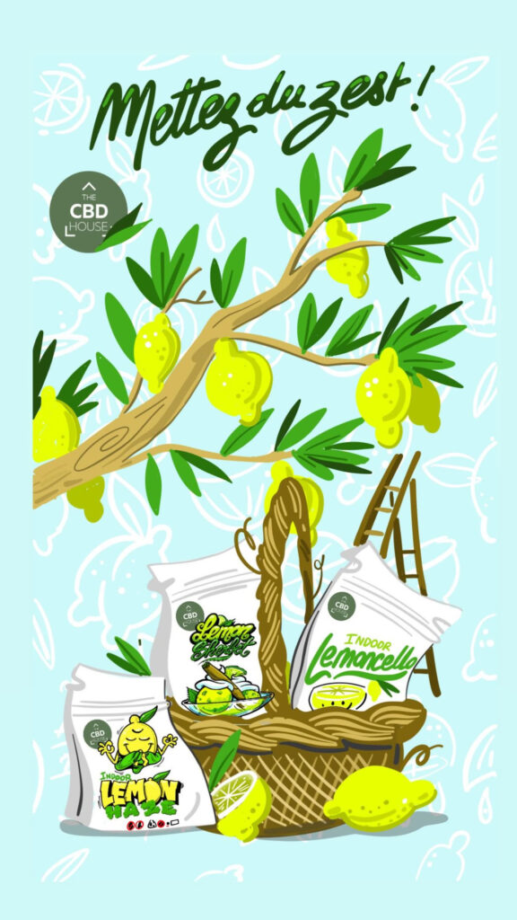 90d8430c da21 4170 b633 a4a97e04f3d7