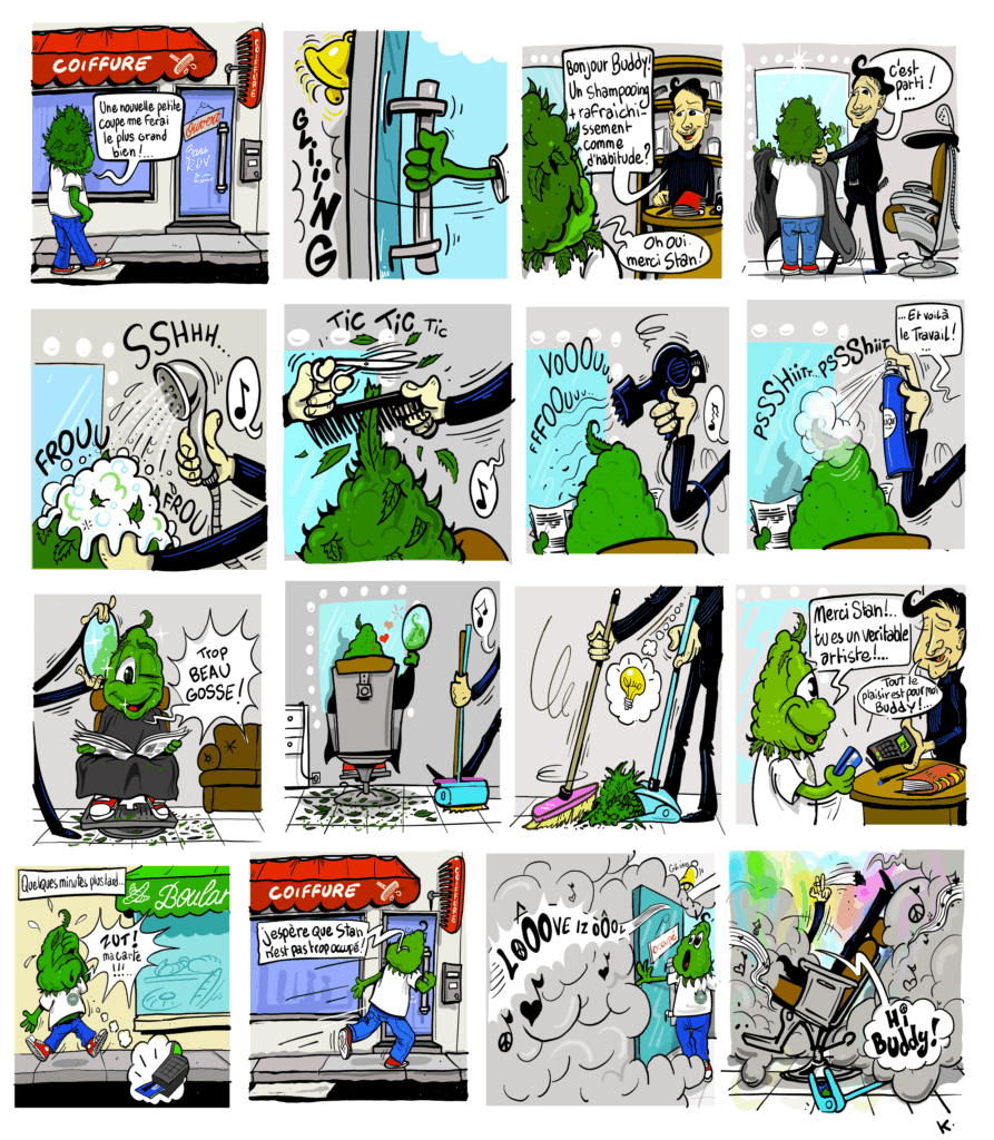 bande dessinée the cbd house