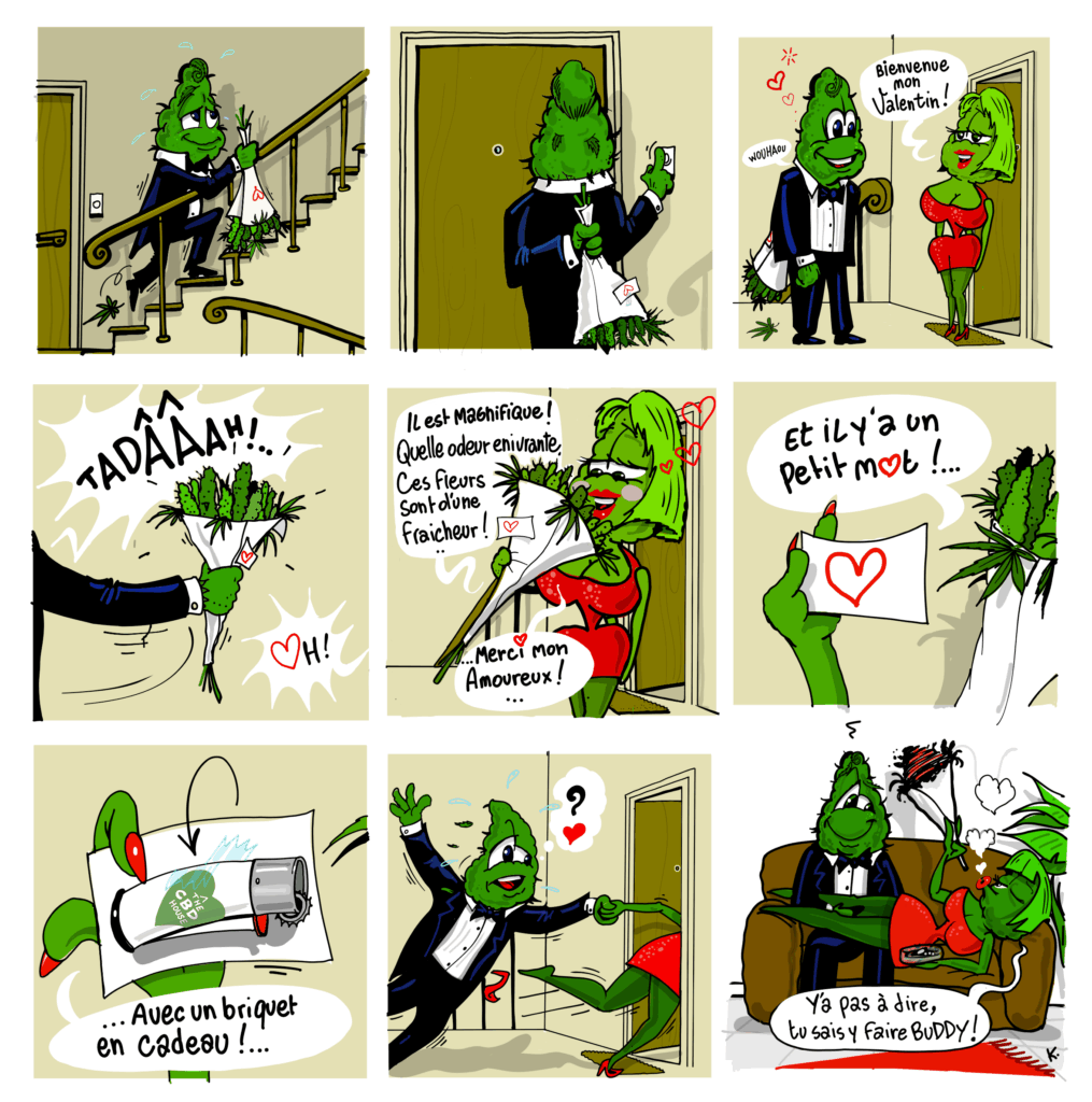 bande dessinées the cbd house