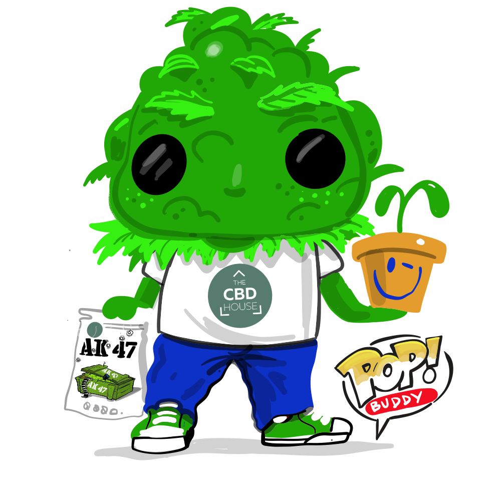 sans titre 5 juin 2025 16.50.36