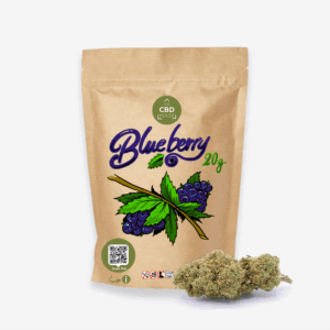 blue berry – fleur de cbd