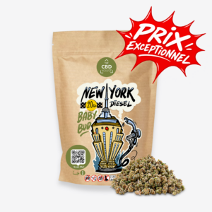 new york diesel baby bud fleur de cbd