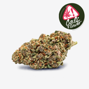 tangerine dream cali flower